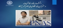 انتشار مقاله استاد شریف در معتبرترین مجله آکادمی ملی علوم آمریکا