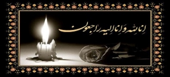 پیام تسلیت دبیرکل انجمن به مناسبت درگذشت آقای دکتر محمدرضا ارشدی